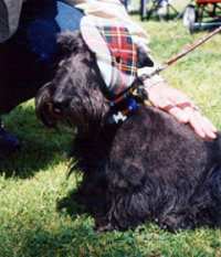 MacDuff