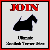 Top Scottie List logo